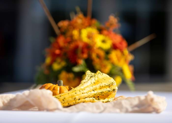 small pumpkins with orange flowers in the background
